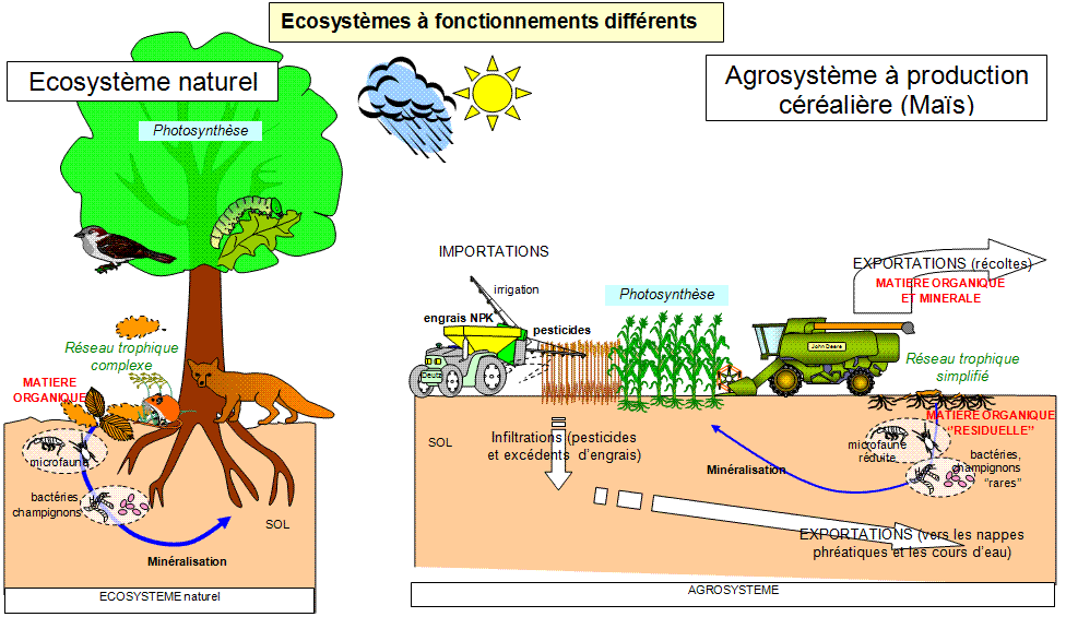 Comparaison écosystème Naturel Agro Système 3996