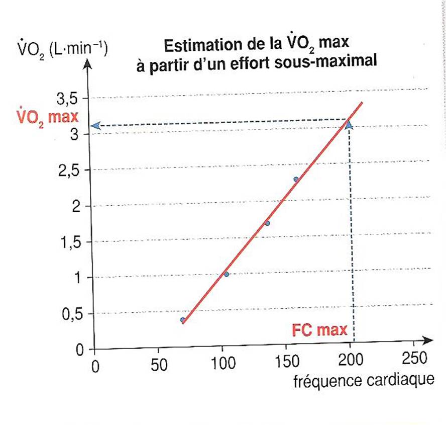 Comment Calculer Le Vo2 Max - Image to u